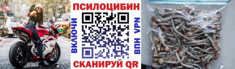 Псилоцибиновые грибы Psilocybine cubensis  цена   Дзержинск 