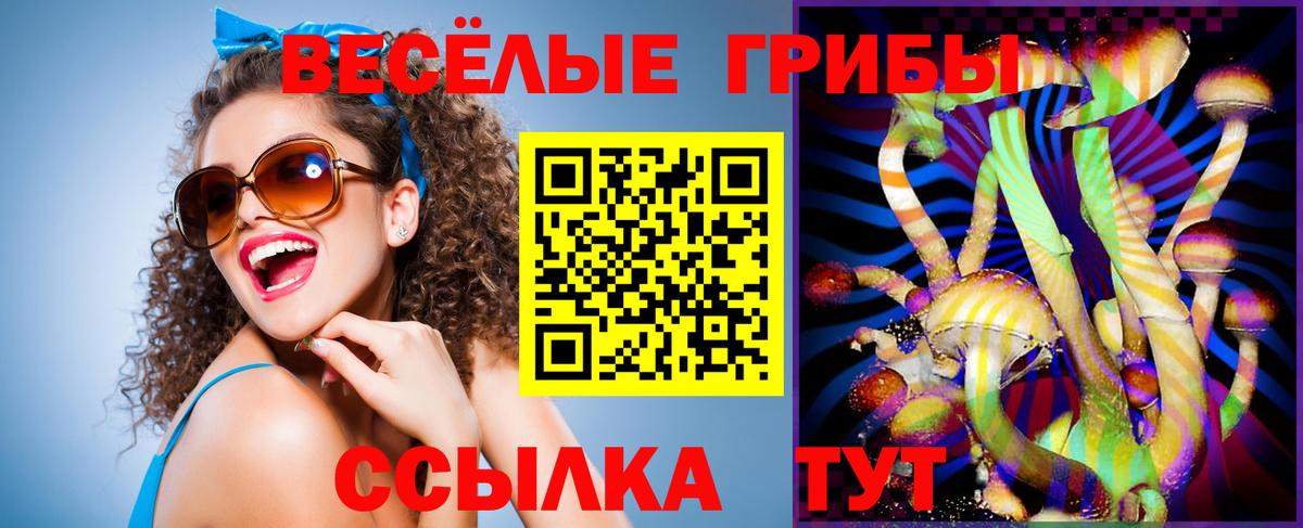 Псилоцибиновые грибы Psilocybe Дзержинск